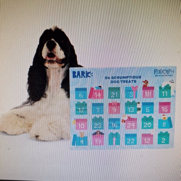 Rudolph Advent Calendar for Dogs - Picture 3 of 5